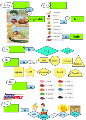 Level 1 Fruits and Vegetables  40 фото