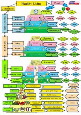 Healthy Living Topic Map Levels 6-7 , Healthy Lifestyle, Level 6, Level 7, Topic Map