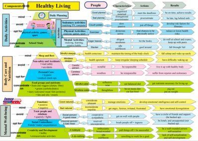 Healthy Lifestyle Topic Map Level 10, Healthy Lifestyle, Level 10, Topic Map
