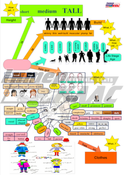 Level 5 Appearance , Appearance, Level 5, Speaking Map